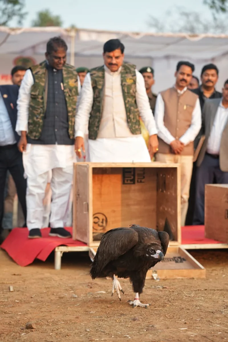गिद्ध क्रेट के साथ समूह का विज्ञप्ति चित्र